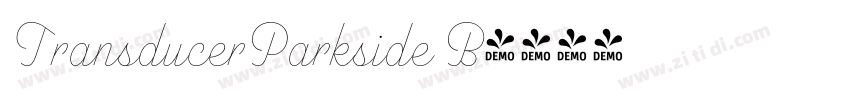 TransducerParkside B字体转换